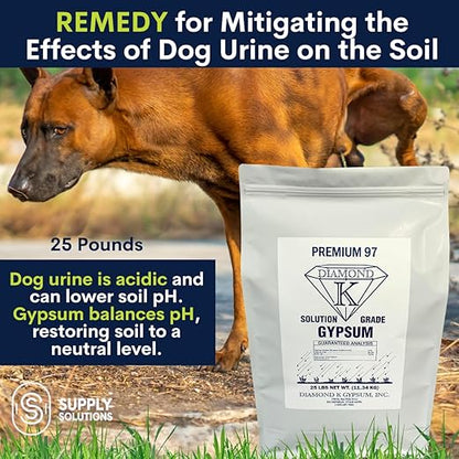 Supply Solutions Gypsum Powder - Purest and Soluble Houseplant Food Fertilizer for Indoor Plants, Outdoor, Lawn, Vegetables - Indoor Plant Nutrients, Improve Plant Growth (25 Pounds)