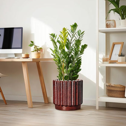 12 Inch Pots for Plants - Ceramic Planters for Indoor Plants, Large Plant Pots with Drainage Hole, Round Fluted Planter, Ceramic Flower Pot Outdoor, Room Decor, Gifts for Women Men, Red
