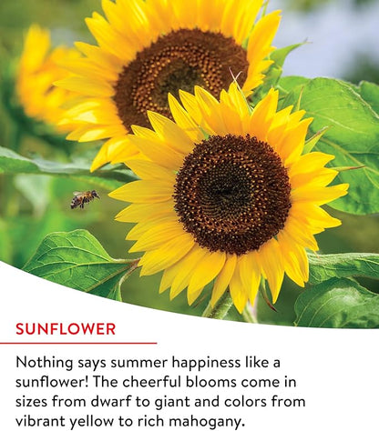 Burpee Fast Blooming 25,000 Non-GMO Planting, 1 Bag Easy Grow Wildflower Seed Mix Contains 14 Flower Varieties for Home Garden