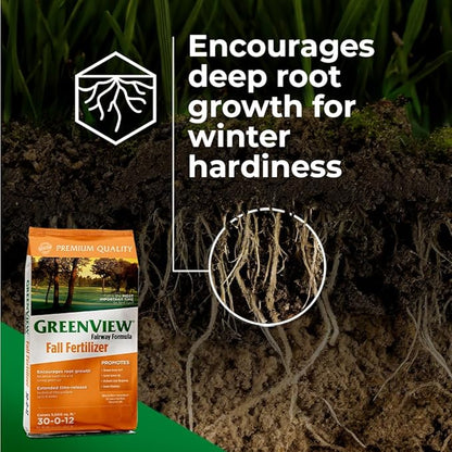 Greenview Fairway Formula Fall Fertilizer - 22.5 Lb - Covers 7,500 Sq. Ft.