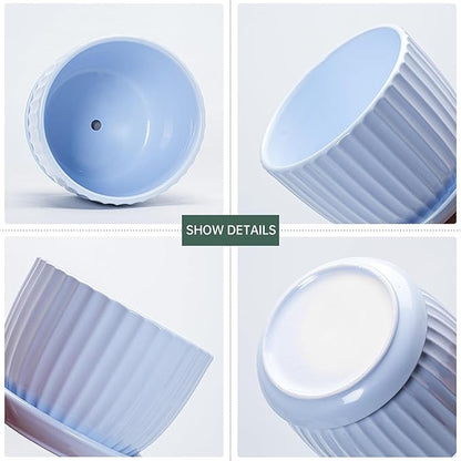 Ton Sin Sky Blue Ceramic Flower Pots, 4"+5"+6" Inch Small Succulent Planters with Drainage Hole,Modern Indoor Decorative Plant Pots Set of 3,Garden Pots with Saucer(Blue)
