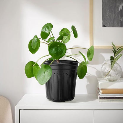 RAOOKIF 1 Gallon Pots for Plants, Flexible 1/2/3/5 Gallon Nursery Pots with Drainage, 1 Gallon Plastic Pots for Plants