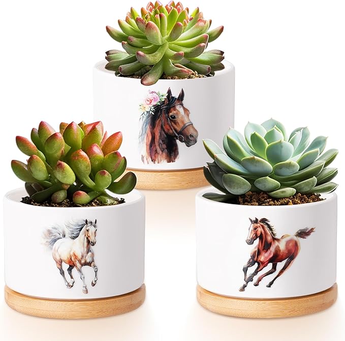 Vesici 3 Pcs Horse Gifts for Women Horse Planter Succulent Pots with Drainage and Bamboo Tray Small Ceramic Succulent Planters Animal Plant Pot for Christmas Office Home Decor Plant Lovers