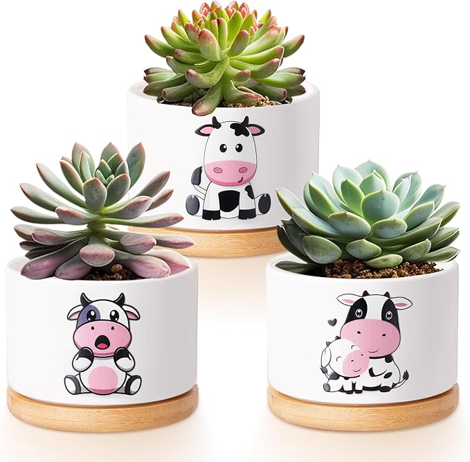 Vesici 3 Pcs Cow Gifts for Women Cow Planter Succulent Pots with Drainage and Bamboo Tray Small Ceramic Succulent Planters Animal Plant Pot for Christmas Office Home Decor Plant Lovers