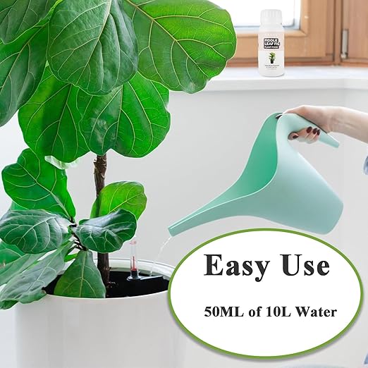 Fiddle Leaf Fig Plant Food, Organic Microbial Probiotic Liquid Nutrient – 35oz (1000ml) Natural Indoor Plant Food for Ficus Lyrata & Houseplants