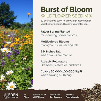 Eden Brothers Burst of Bloom Wildflower Mixed Seeds for Planting, 50 lb, 24,000,000+ Seeds with Cosmos, Black Eyed Susan | Attracts Pollinators, Plant in Spring or Fall, Zones 3, 4, 5, 6, 7, 8, 9, 10
