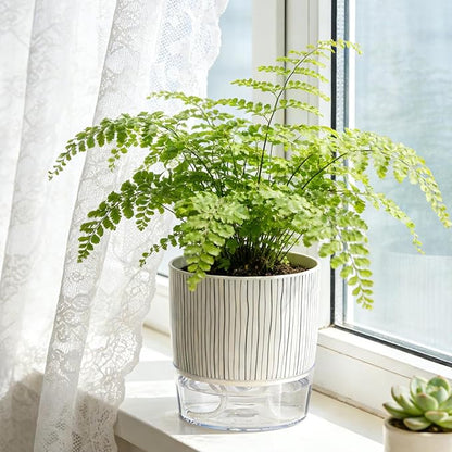 Self Watering Pots for Indoor Plants, 4 and 5.3 Inch, Plastic, Black Stripes, Round, Modern, Tabletop