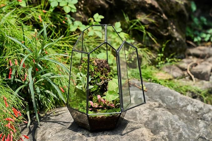 FISCRAT Metal Geometric Glass Planter | 7.9 * 6.9 * 9.8inch Rust-Proof Indoor/Outdoor Planter for Succulents, Air Plants | Space-Saving Vertical Design,a for Apartment Living and Plant Lovers