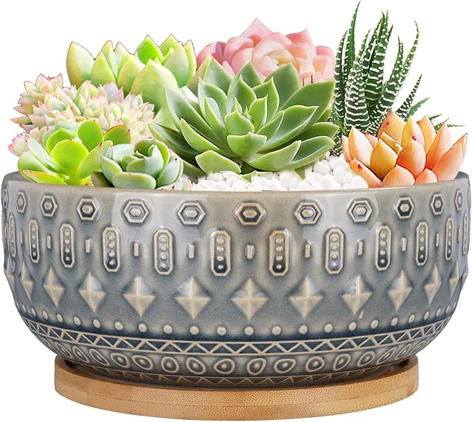 8 Inch Ceramic Succulent Planter Pots with Drainage Hole Flower Pot for Indoor Plants Round Shallow Bonsai Pot with Bamboo Tray Blue