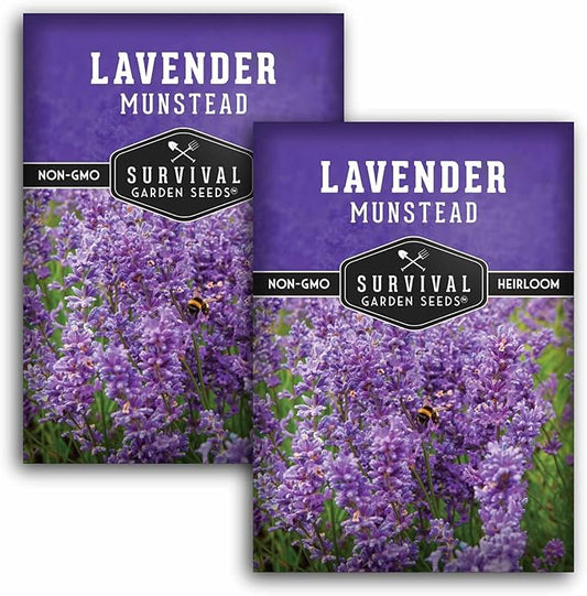 Munstead English Lavender Seeds for Planting – Compact Dwarf Hardy Perennial Herb for Indoor or Outdoor Gardens, Culinary & Fragrant Pollinator Flower - Survival Garden Seeds (2 Packs)