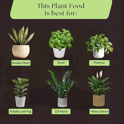 Rosy Soil Plant Food - Microbially Active Fertilizer for Houseplants, Herbs, Flowers – Enriched with Biochar, Kelp, and Worm Castings – Organic Food for Healthy Growth – 4 Quarts