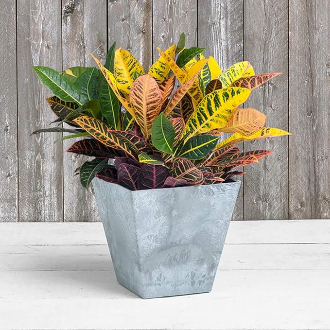 Root & Vessel, ArtStone 35120 Ella Square Planter, Grey, 12-Inch