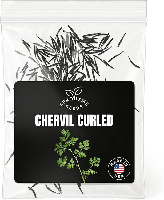 Chervil Winter Seeds for Planting – 300+ Non-GMO Heirloom Gourmet Culinary Herb Seeds (Anthriscus cerefolium)