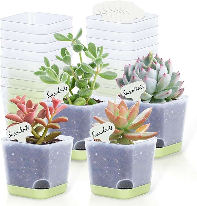 20 Pack 3 Inch Plastic Succulent Pots with Drainage Holes & Saucers, Square Nursery Planters for Indoor Outdoor Plants, Half Clear Flower Pots
