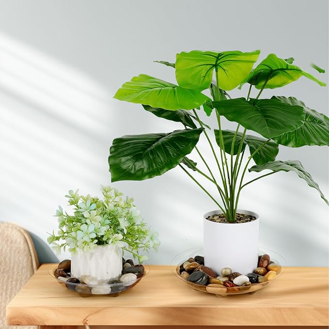 6 Pack Heavy Duty Clear Plastic Plant Saucer Sturdy Pot Tray Plant Drip Trays Drip Trays for pots,Plant Water Catcher Tray,Flower Pot Saucer Water Drainage Tray Floor Protector (10 INCH)