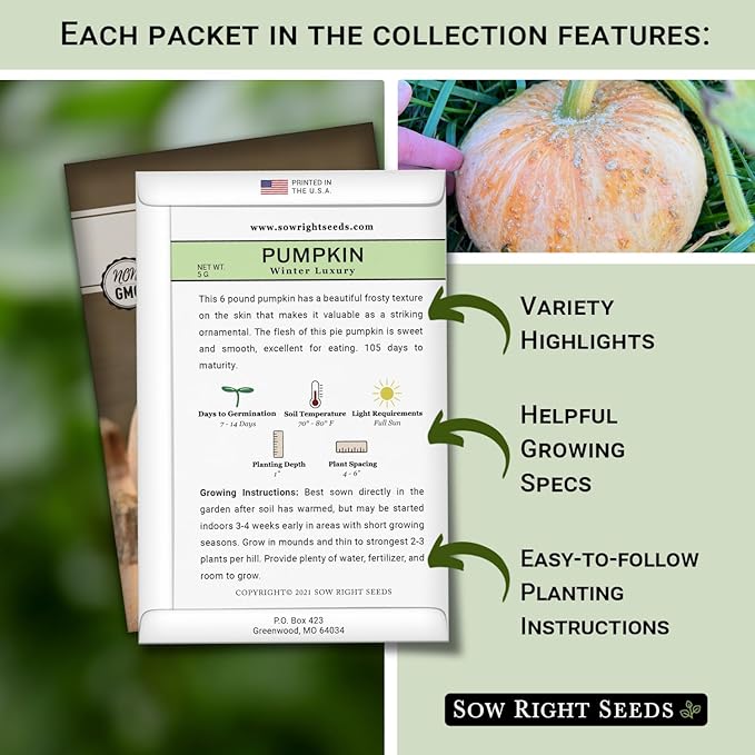 Sow Right Seeds - Decorative Pumpkin Seed Collection for Planting - Jarrahdale, Galeux d’Eysines, and Winter Luxury Pumpkins - Non-GMO Heirloom Packets with Instructions to Plant and Grow