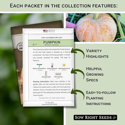 Sow Right Seeds - Decorative Pumpkin Seed Collection for Planting - Jarrahdale, Galeux d’Eysines, and Winter Luxury Pumpkins - Non-GMO Heirloom Packets with Instructions to Plant and Grow
