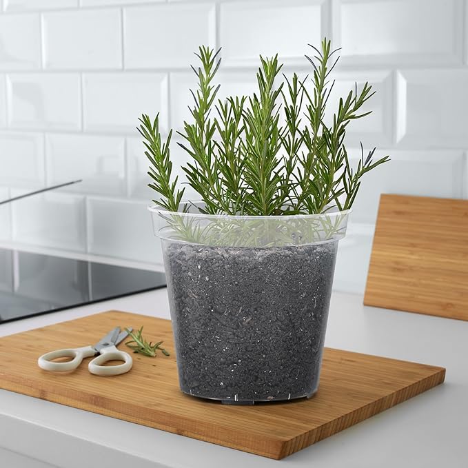 GREANER Clear Plant Pots, Plastic Planters for Indoor Plants, Seed Starting Pot with Drainage Holes, 4/5/6/7/8 Inch(10 Packs)
