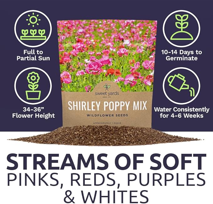 Shirley Poppy Seeds – Mixed Colors – Extra Large Packet – Over 200,000 Open Pollinated Non-GMO Wildflower Seeds – Papaver rhoeas