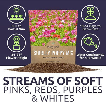 Shirley Poppy Seeds – Mixed Colors – Extra Large Packet – Over 200,000 Open Pollinated Non-GMO Wildflower Seeds – Papaver rhoeas