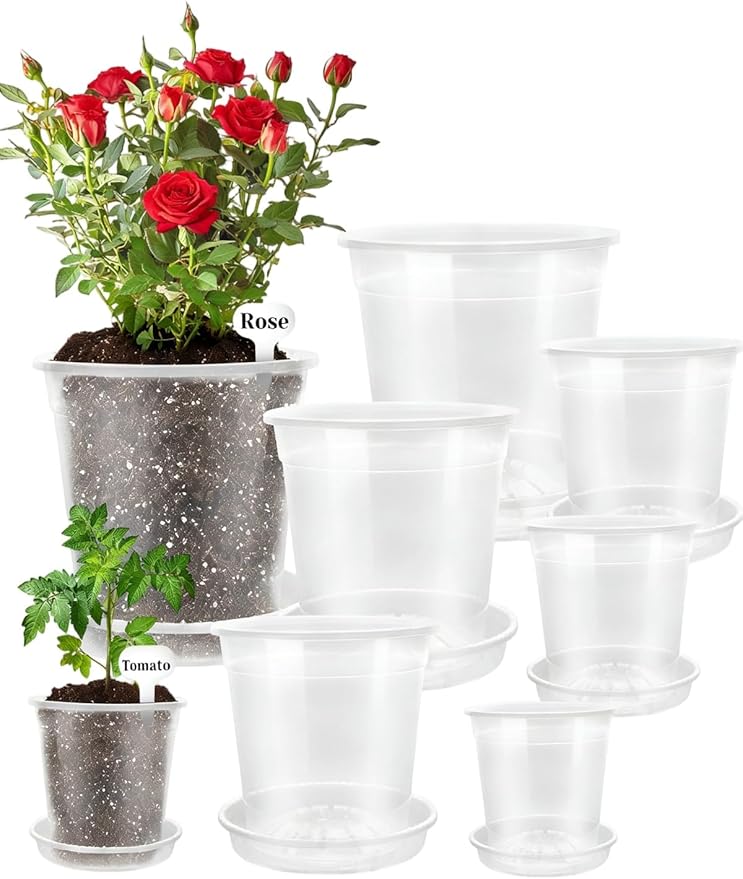 Clear Nursery Pots with Drainage (4.5/5Inch)