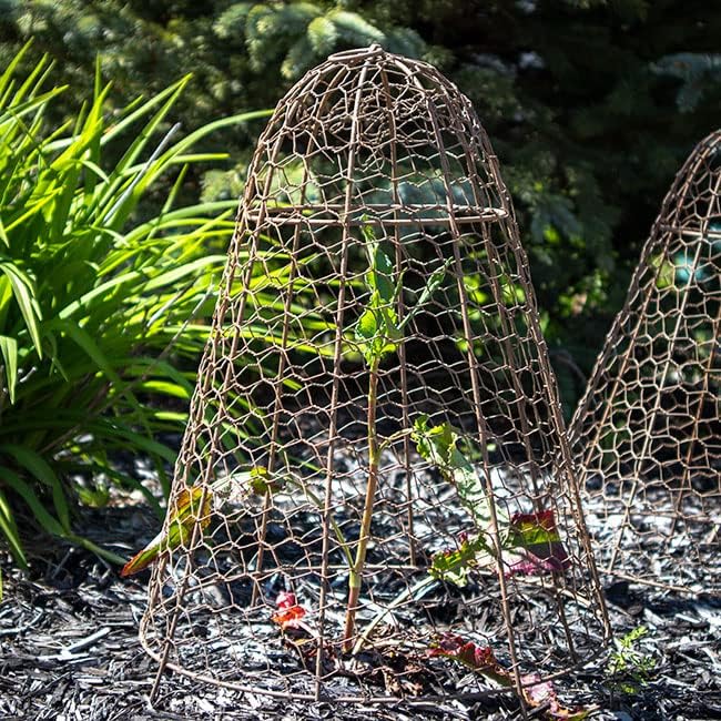 Panacea Rustic Wire Garden Cloches, Set of 6 – 20" H x 12" Dia Plant Protectors – Metal Chicken Wire Dome with 4-Leg Base – Durable Outdoor Garden Cloches for Shrubs, Flowers & Vegetables