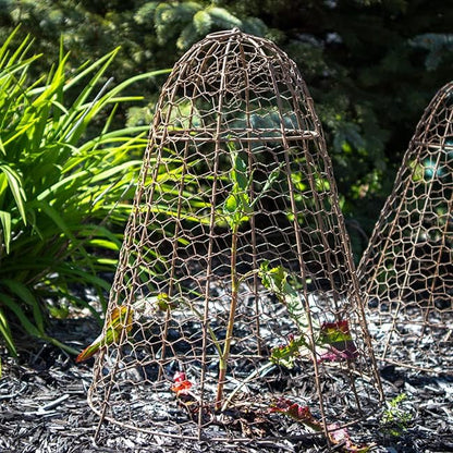 Panacea Rustic Wire Garden Cloches, Set of 6 – 20" H x 12" Dia Plant Protectors – Metal Chicken Wire Dome with 4-Leg Base – Durable Outdoor Garden Cloches for Shrubs, Flowers & Vegetables