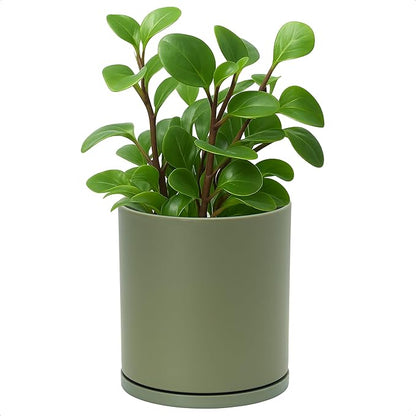 D'vine Dev Double-Layer Planter Set – Rotating Plastic Cachepot with Clear Inner Liner for Root Health, Perfect for Indoor Plants, 6.5", Olive, 73-U-C-2