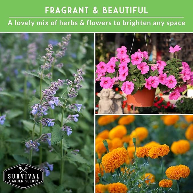 Pest Defense 6 Pack Seeds for Planting - Heirloom Lavender, Hyssop, Catnip, Marigold, Petunia, Basil - Natural Pest Deterrents for Outdoor & Indoor Spaces - Survival Garden Seeds