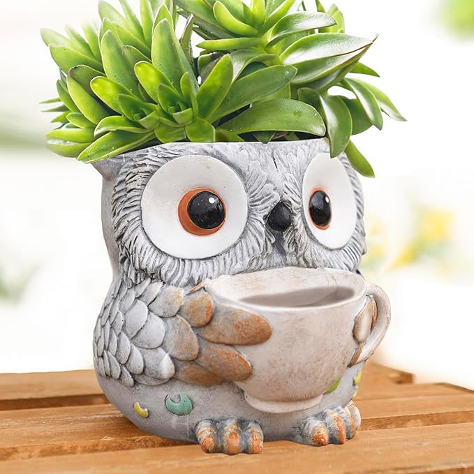 Unique Owl Plant Pots Indoor, Cute Small Succulent Pots with Drainage Hole, Watering Owl Planters for Indoor Outdoor Plants, Resin Flower Pot for String of Pearls, Gift Ideas for Mother