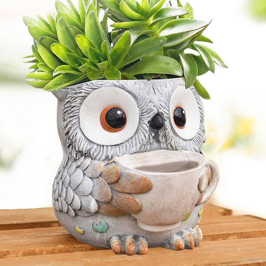 Unique Owl Plant Pots Indoor, Cute Small Succulent Pots with Drainage Hole, Watering Owl Planters for Indoor Outdoor Plants, Resin Flower Pot for String of Pearls, Gift Ideas for Mother