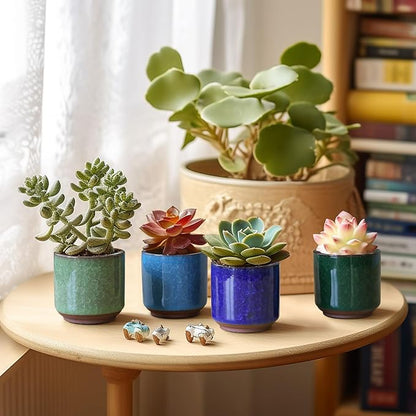T4U 2.5 Inch Small Ceramic Succulent Planter Pot with Drainage Hole Set of 6, Ice Crack Glaze Plant Container for Cactus, Succulent Plant Gifts for Women Mom Aunt Home Office Decor