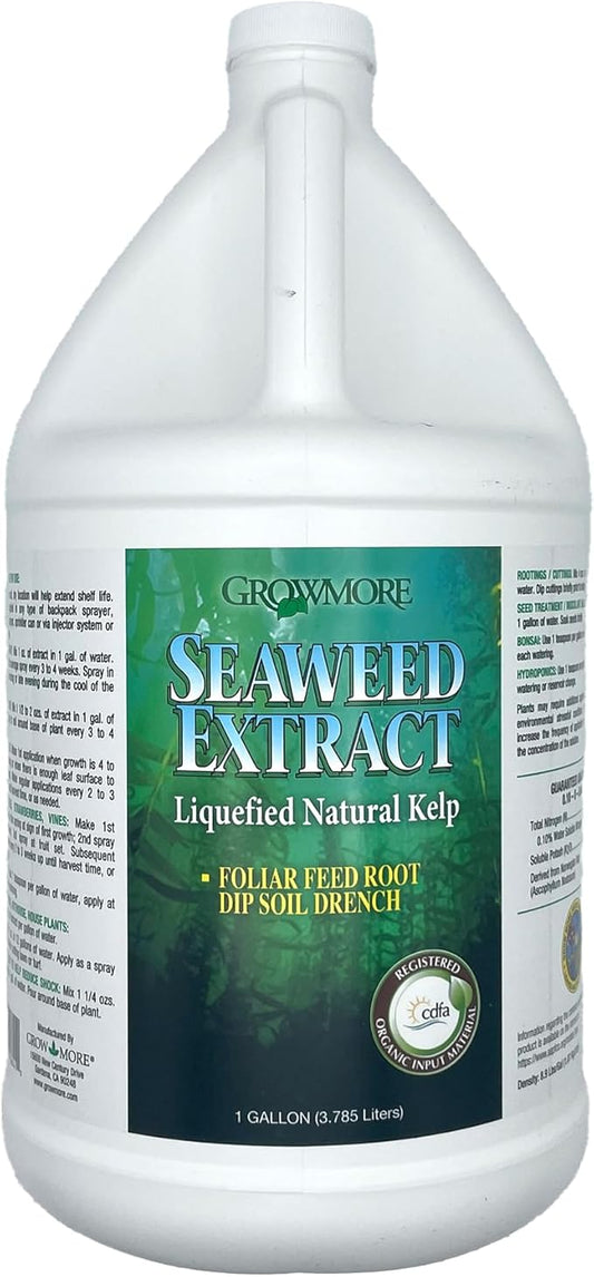 Grow More Liquified Seaweed Extract Fertilizer for Plants - 1 Gallon of Liquefied Natural Liquid Kelp Fertilizer - 11% Organic Kelp Plant Food for Transplant Protection & Root Development