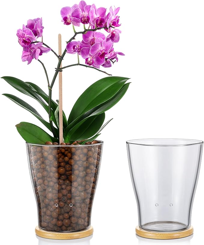 Baderke Glass Orchid Pots with Holes and Bamboo Tray Glass Pot Water Level Control Semi Hydroponic Transparent Root Transparent Indoor Orchid Planter for Home Indoor Outdoor Plant Lovers (5.12 Inch)