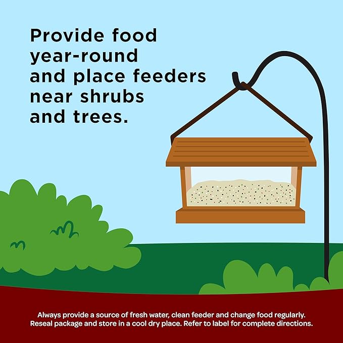 Kaytee Wild Bird Songbird Blend Bird Seed, 5 Pound