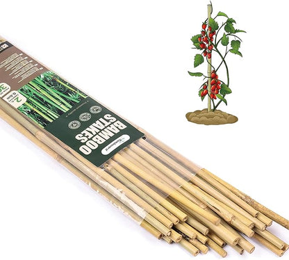 Bamboo Sticks for Plants 2 Feet Bamboo Stakes for Indoor Gardening Plant Stakes Supports Potted Plants Mini Trees Garden Stakes - Pack of 30 Bamboo Poles