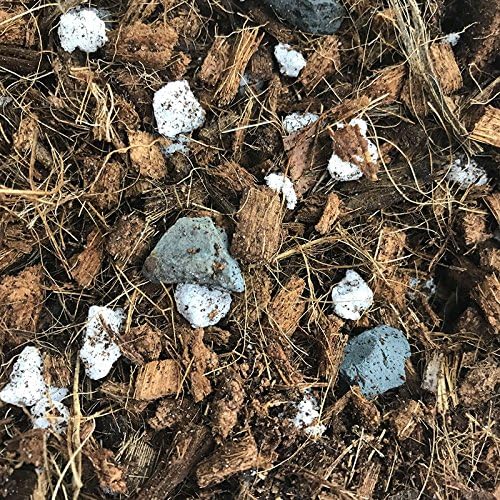 All Purpose Classic Orchid Mix (Standard Bag)