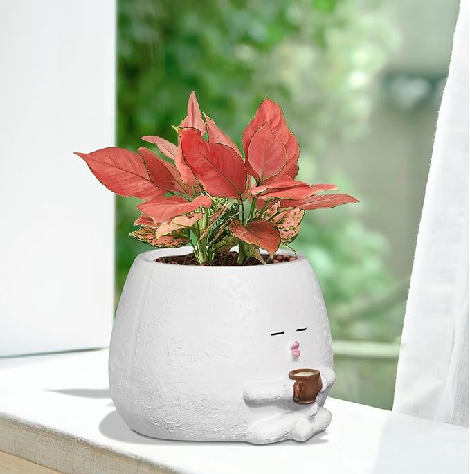 Smily Face Planter Pot with Coffee Cup Cute Resin Flower Head Planters for Indoor Outdoor Unique Sit Succulent Pots with Drainage Hole Gift IdeaI for Mother Christmas (White)