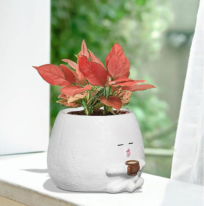 Smily Face Planter Pot with Coffee Cup Cute Resin Flower Head Planters for Indoor Outdoor Unique Sit Succulent Pots with Drainage Hole Gift IdeaI for Mother Christmas (White)