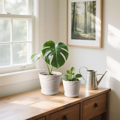 6.7 + 5.5 Inch Plant Pot, Ceramic Planter with Drainage and Saucer,Ceramic Pots for Plants, Indoor Plant pots,Succulent Orchid Flower Pot(Pure White)