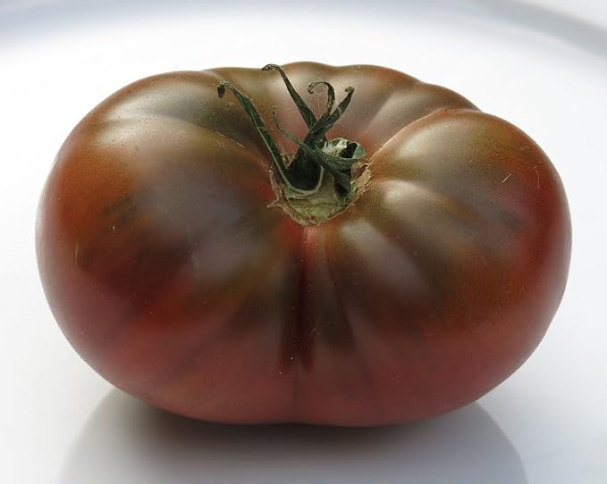 Seeds Black Elephant Tomato Determinate Non GMO Vegetable for Planting