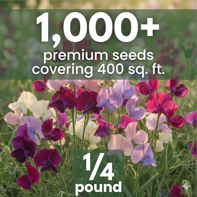 Sweet Pea Royal Family Mix – 1000 Seeds for Planting – 2026 Season – 4 Ounces