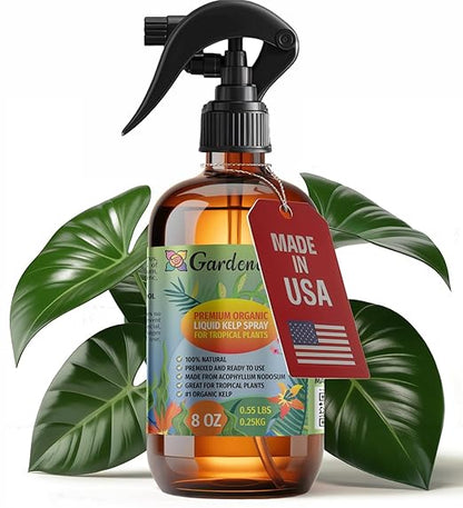 GARDENERA Professional Organic Liquid Kelp Spray for Tropical Trees Plants - 8 oz - Ready-to-Use Fully Organic Seaweed & Kelp Fertilizer Mist