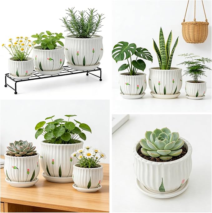 Plant Pots for Indoor Plants Set of 3, 4+5.3+6.7 Inch Ceramic Plant Pots with Drainage Hole，Cute Garden Pots Succulent Pots with Saucer