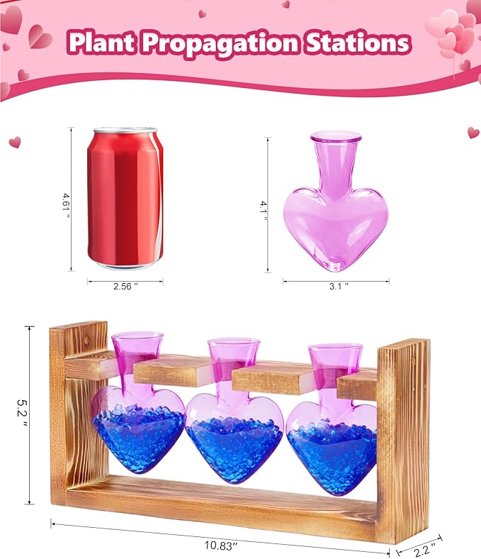 Nacome Plant Terrarium Propagation Stations: Birthday Gifts for Plant Lovers Women Mom Wife Daughter - 3 Bulb Glass Vase with Wooden Stand Tabletop for Hydroponics Home Garden Decor(Purple)