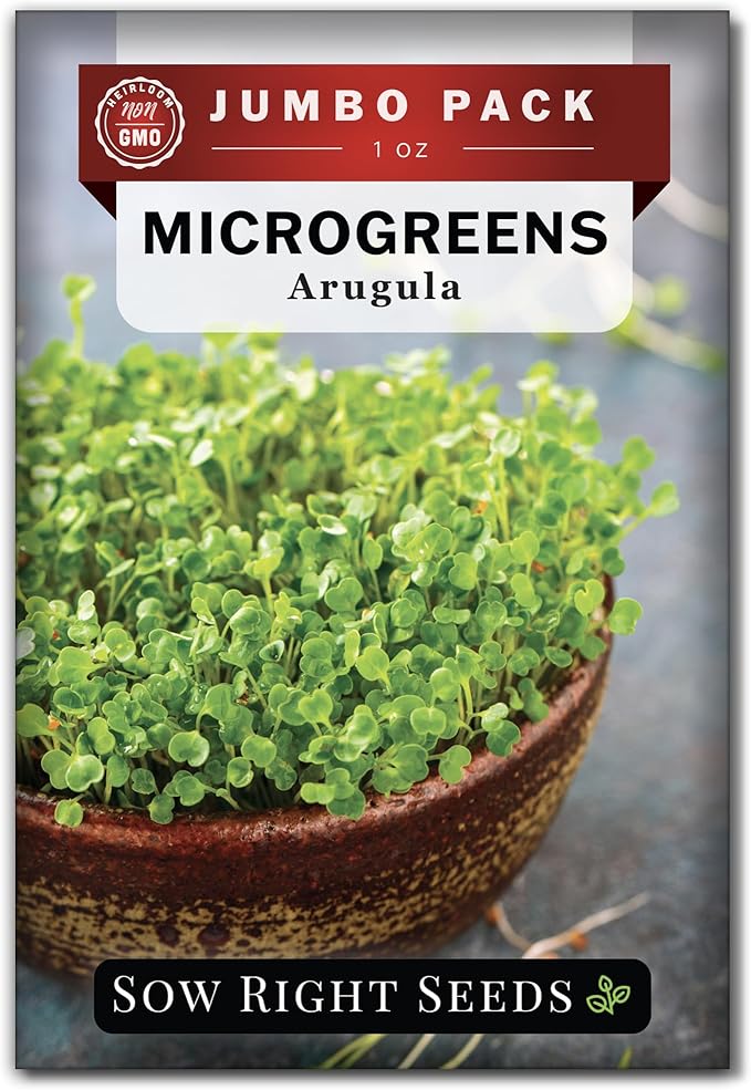 Sow Right Seeds - Bulk Arugula Microgreen Seeds for Growing - 1 Ounce, 14000 Seeds - Non-GMO Heirloom Jumbo Pack with Instructions to Grow Healthy Microgreens - Grow Loads of Arugula Microgreens…