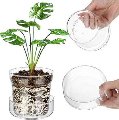 Baderke 4 Inch Glass Plant Pots with Saucer, Flower Nursery Plant Pots with Drainage for Flower Seed Starter Transparent Seedling (1 Set)