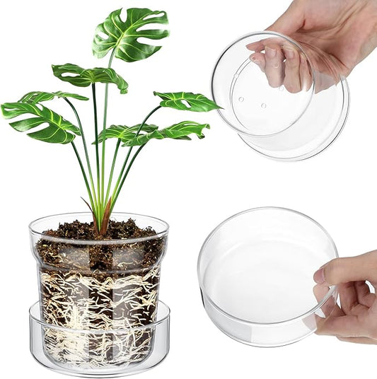 Baderke 4 Inch Glass Plant Pots with Saucer, Flower Nursery Plant Pots with Drainage for Flower Seed Starter Transparent Seedling (1 Set)