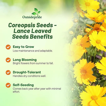 Outsidepride Lance-leaved Coreopsis Seeds - 1 lb. Perennial, Humidity & Drought Tolerant Flower Seeds for Planting Clumping Vibrant Golden Blooms, Ideal for Xeriscaping and Low Maintenance Gardens