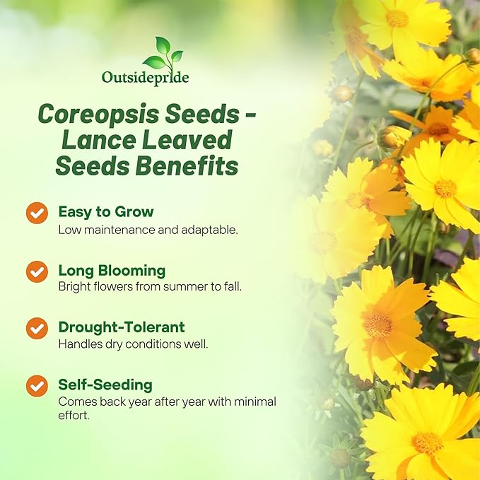 Outsidepride Lance-leaved Coreopsis Seeds - 5 lbs. Perennial, Humidity & Drought Tolerant Flower Seeds for Planting Clumping Vibrant Golden Blooms, Ideal for Xeriscaping and Low Maintenance Gardens